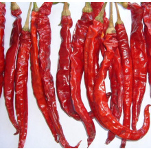 Natural New Crop Red Chaotian Chili (GLY-071802)